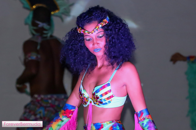 Bermuda Carnival Heroes Weekend Launch Nov 2015  (12)