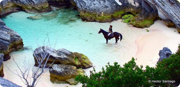 r horseback-riding-bermuda