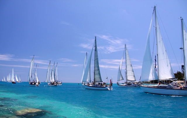 Arce Bermuda Sailing picture (1)