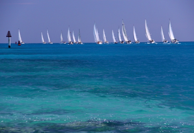 Arce Bermuda Sailing picture (3)