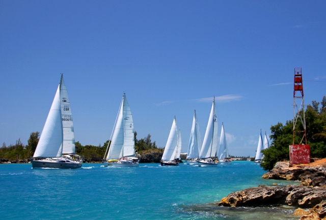 Arce Bermuda Sailing picture (9)