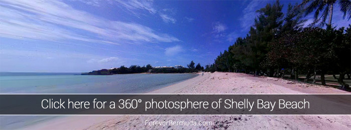 Shelly-Bay-Beach-360-degree-view