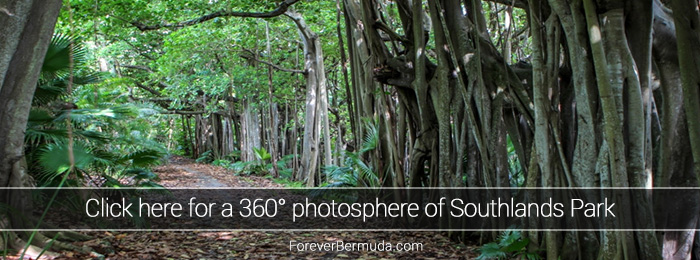 southlands-park-360