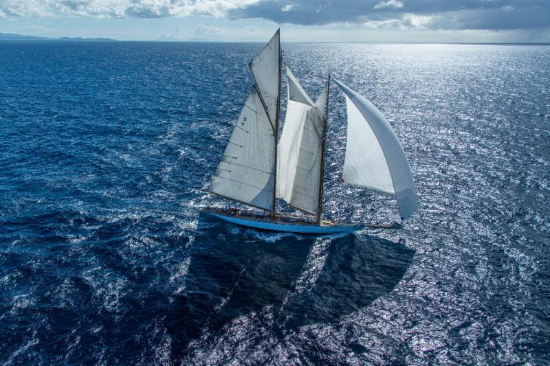 Eleonora under sail. Photo by ELWJ Photography