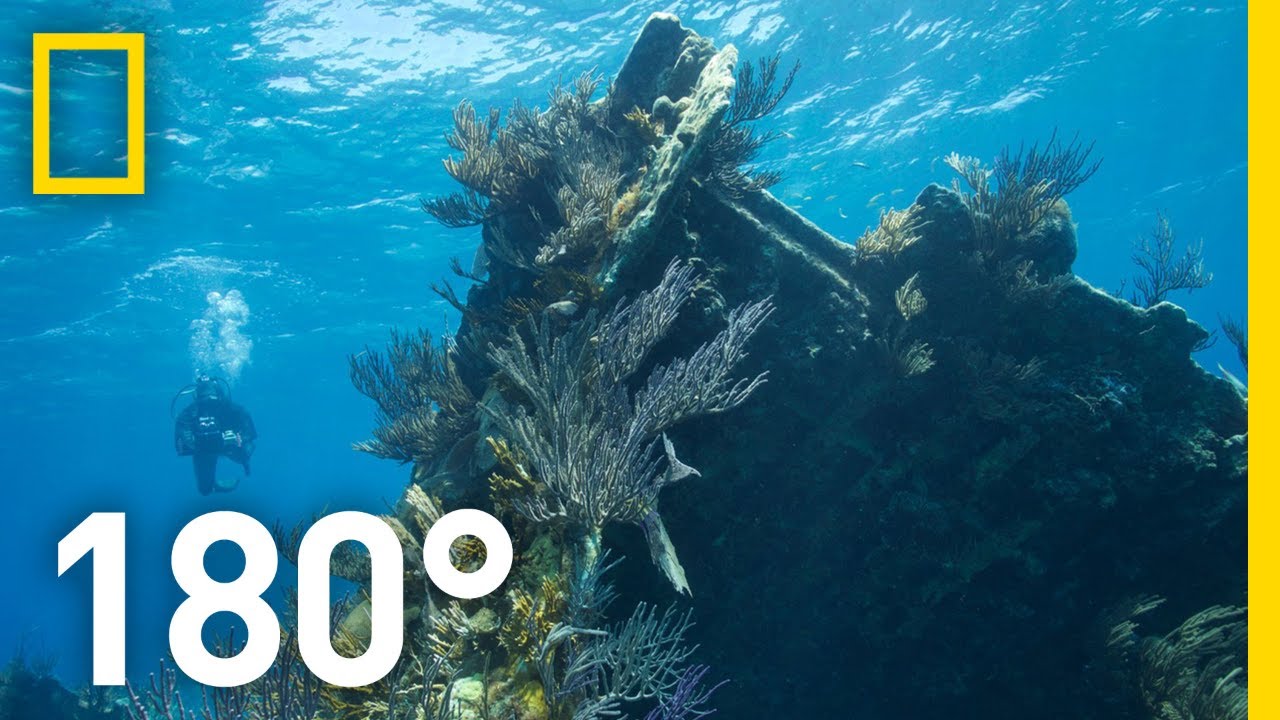 Video: Nat Geo Spotlight Bermuda Shipwreck