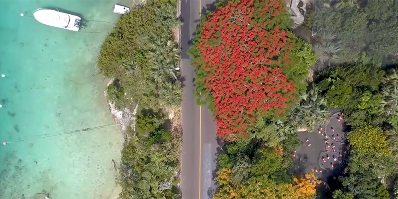 Video: An Aerial Look At Flatts & Flamingos