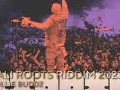 Bermudian Collie Buddz Nominated For Grammy Award
