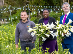 Bermuda Easter Lilies Sent To King Charles III