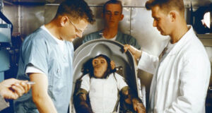 Historic Video: Chimp’s Space Trip Ends In Bermuda