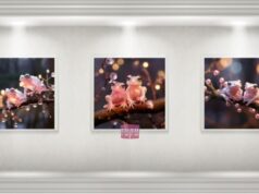 Virtual Art Photo Gallery | Pink Bermuda Treefrogs