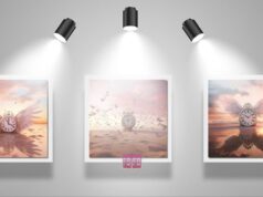 Virtual Art Photo Gallery | Time Flies In Bermuda