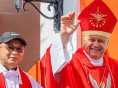 Photos:  Portuguese Holy Spirit Festival