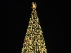 Photos: 2025 Christmas Trees Around The Island