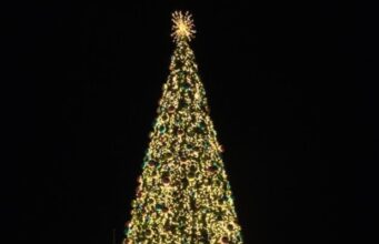 Photos: 2025 Christmas Trees Around The Island