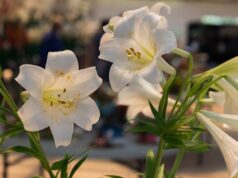 Photos: Exhibits At The 2026 Agricultural Exhibition