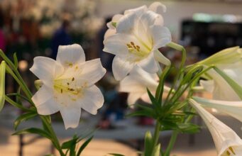Photos: Exhibits At The 2026 Agricultural Exhibition