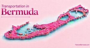 Column: Taxi Association on Transportation in Bermuda
