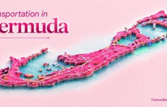 Column: Taxi Association on Transportation in Bermuda