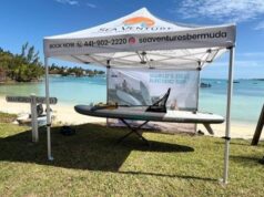 New Electric Paddleboard Venture Launching In Bermuda
