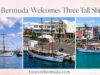 Three European Tall Ships Visit Bermuda