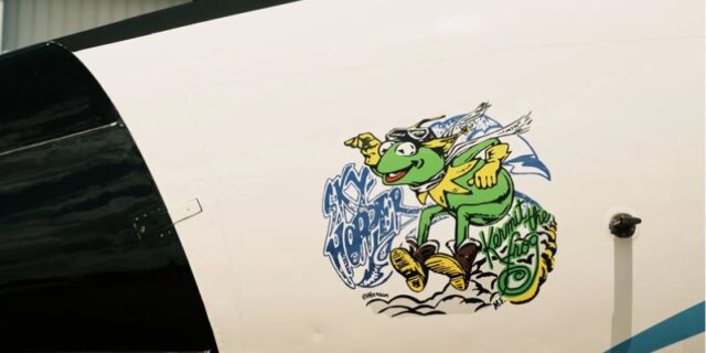 Frith’s Kermit Artwork Flies Into The Storm Bemruda Aug 2026 FORB FEATURED IMAGE